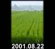2001.08.22