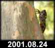 2001.08.24