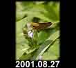 2001.08.27