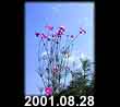 2001.08.28