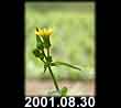2001.08.30