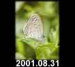 2001.08.31