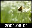 2001.09.01
