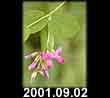 2001.09.02