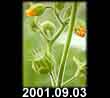 2001.09.03