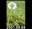 2001.09.04