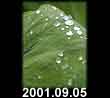 2001.09.05