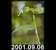 2001.09.06