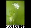 2001.09.09