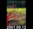 2001.09.12