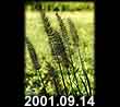 2001.09.14
