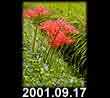 2001.09.17