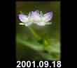 2001.09.18