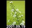 2001.09.19