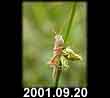 2001.09.20