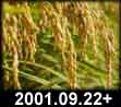 2001.09.22