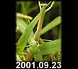 2001.09.23