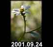 2001.09.24