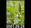 2001.09.25