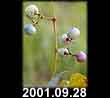2001.09.28