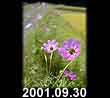 2001.09.30