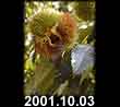 2001.10.03