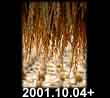 2001.10.04