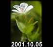 2001.10.05