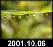 2001.10.06