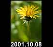 2001.10.08