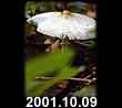 2001.10.09