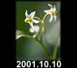 2001.10.10