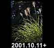 2001.10.11