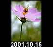 2001.10.15