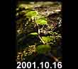 2001.10.16