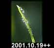 2001.10.19