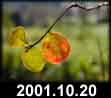 2001.10.20