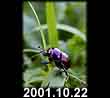 2001.10.22