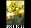 2001.10.23