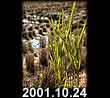 2001.10.24