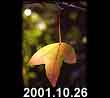 2001.10.26