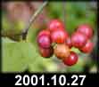 2001.10.27