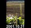 2001.10.31
