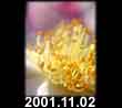 2001.11.02