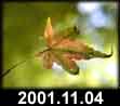 2001.11.04
