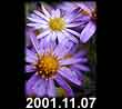 2001.11.07