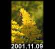 2001.11.09