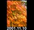 2001.11.10