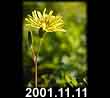 2001.11.11