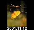 2001.11.12